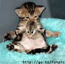Коля Долгий фотография #7 (источник - https://vk.com/id143742664)