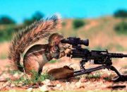 Фотография Соповой Алёны