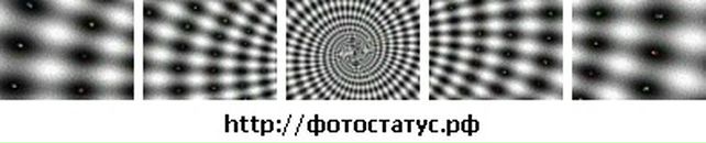 Free Man фотография #37 (источник - https://vk.com/id2415357)