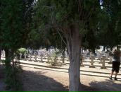 Душан Лазић фотография #5 (источник - https://vk.com/id80294352)