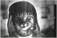 Фотография Зайцева Анатолия