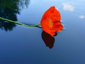 Фотография Rychkova Liubov