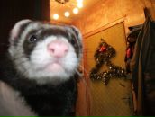 Фотография Львова Андрея