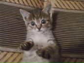 Фотография Есениной Татьяны