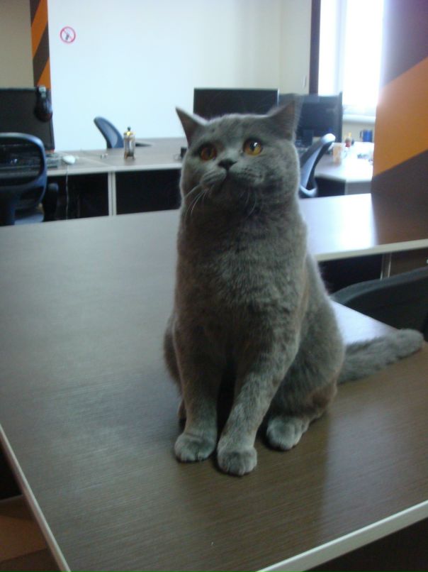 Ефим Бунин фотография #7