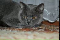 Євген Тітов фотография #26 (источник - https://vk.com/id33629111)