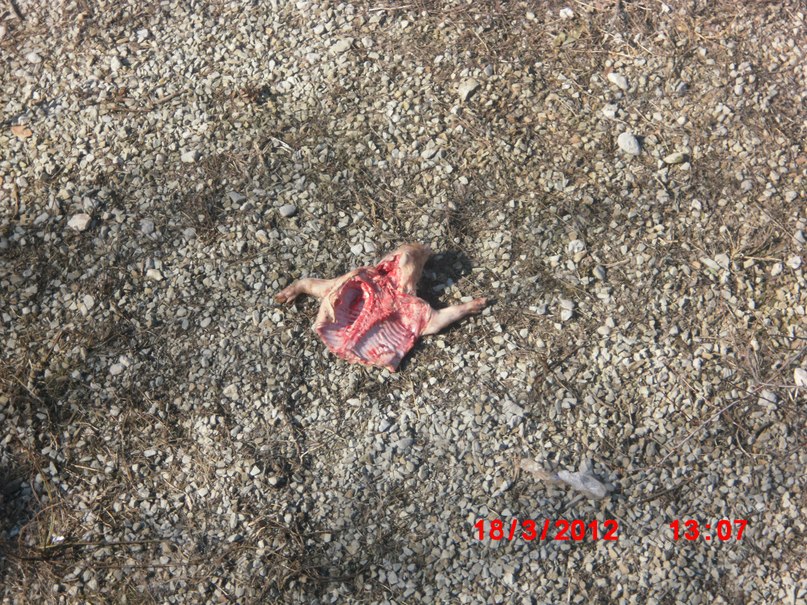 Виктор Чередниченко фотография #12