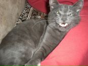 Надя Філіпова фотография #50 (источник - https://vk.com/id40849206)