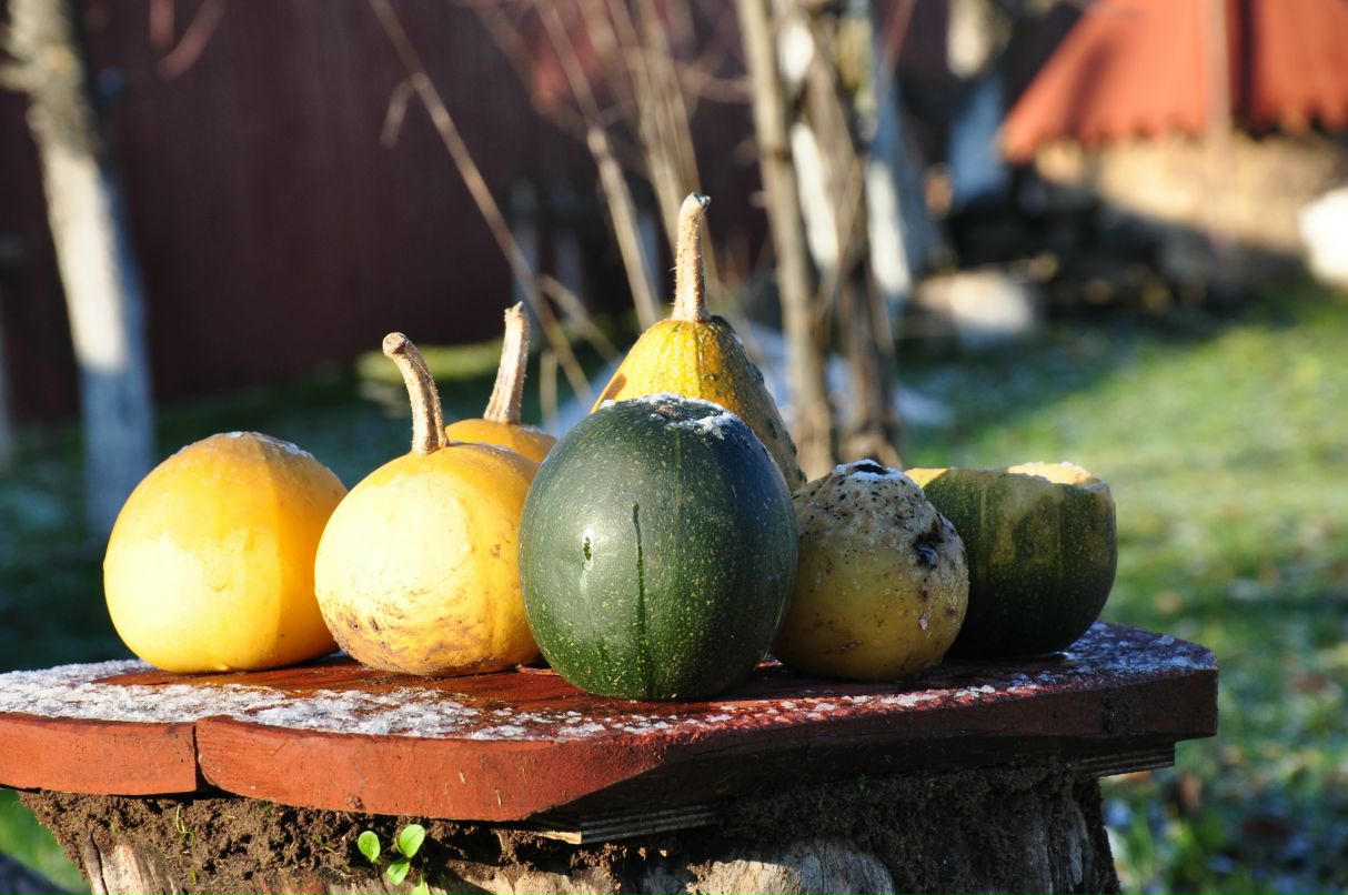 Михаил Игнатьев фотография #8