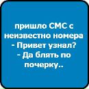 Віка Литвиненко фотография #45 (источник - https://vk.com/id137266373)