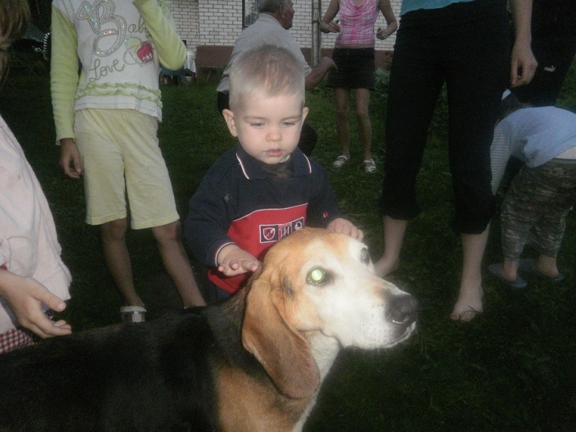 Дмитрий Авадень фотография #30