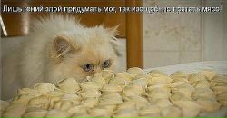 Фотография Власенко Наталии