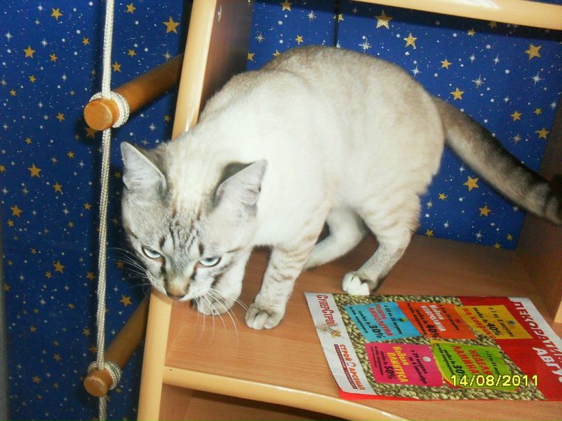 Игорь Лихачёв фотография #43