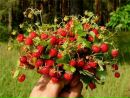 Фотография Рудописовой Валентины