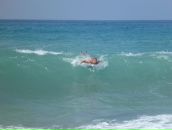 Роман Дьяченко фотография #21 (источник - https://vk.com/id199254)