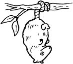 Фотография Коваленко Ани