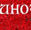 Аліна Стефанюк фотография #5 (источник - https://vk.com/id154866789)