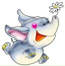 Фотография Туник Кати