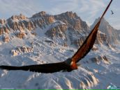 Фотография Ховрин Николай