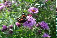 Ігор Явір фотография #30 (источник - https://vk.com/id18353695)