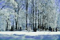 Фотография Усачевой Ольги