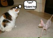 Іван Саєнко фотография #19 (источник - https://vk.com/id132632560)