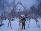 Алла Плєтньова фотография #21 (источник - https://vk.com/id39219859)