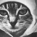 Фотография Уржунцева Максима