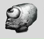 Фотография Лисы Насти