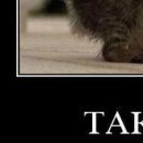 Дєня Євдокименко фотография #50 (источник - https://vk.com/id146939247)