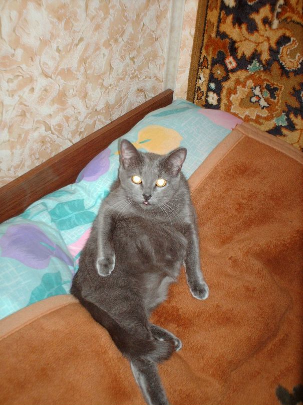 Илья Воробьев фотография #47