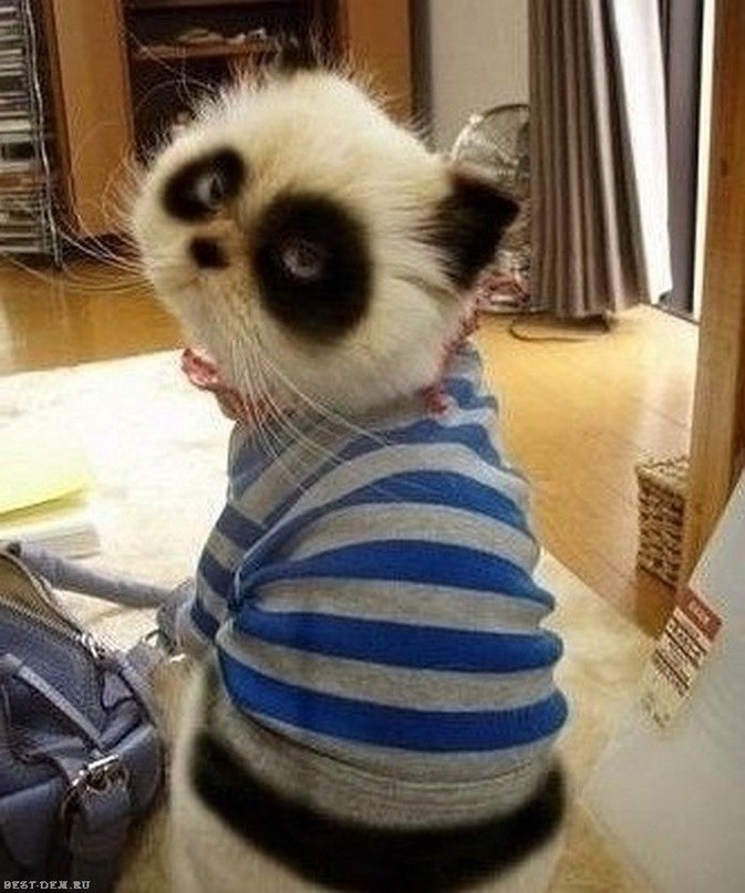 Ильдар Кинзин фотография #18