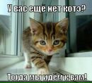 Юрій Сорока фотография #8 (источник - https://vk.com/id236411027)
