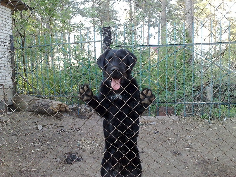 Антон Коверов фотография #3