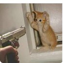 Коля Кіндратюк фотография #47 (источник - https://vk.com/id135252809)