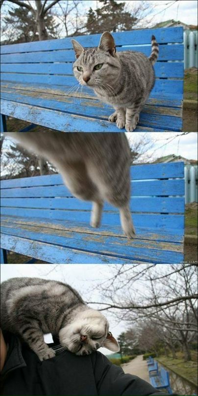 Петя Кушнир фотография #42