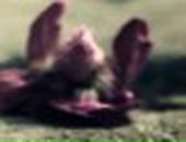 Ріта Бурачинська фотография #46 (источник - https://vk.com/id19294149)