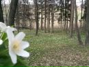 Світлана Галушка фотография #32 (источник - https://vk.com/id111084074)