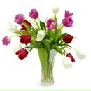 Тёма Иванов фотография #33 (источник - https://vk.com/id2882190)