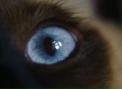 Фотография Егоровой Татьяны