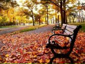 Фотография Алёны Алёны