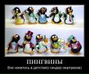 Юлія Токарук фотография #13 (источник - https://vk.com/id50955728)