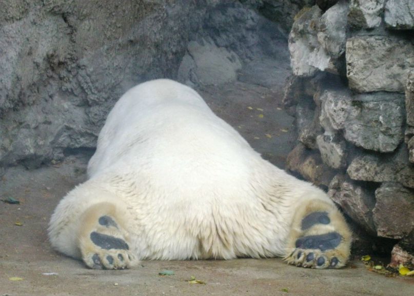 Дмитрий Дмитриев фотография #32