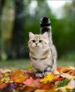София Хрулева фотография #36 (источник - https://vk.com/id166408099)
