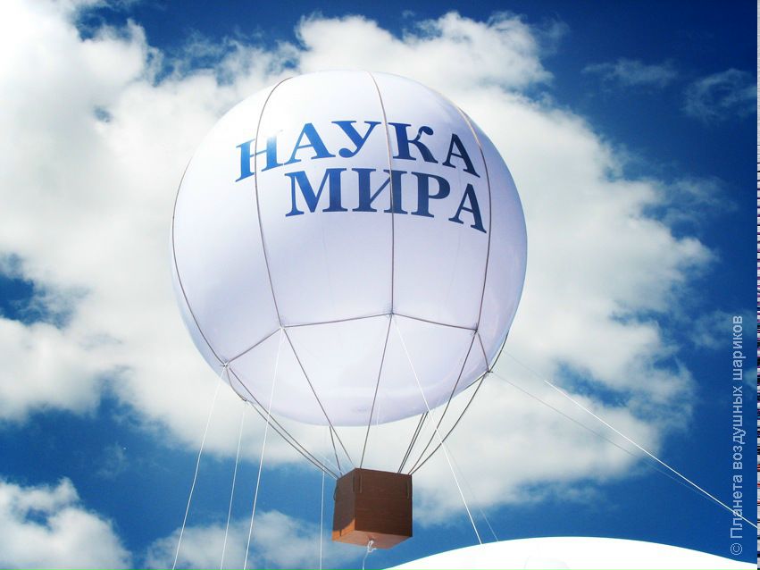 Дмитрий Цапцын фотография #22