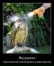 Фотография Томилина Павла