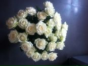 Марія Переходько фотография #21 (источник - https://vk.com/id7093179)