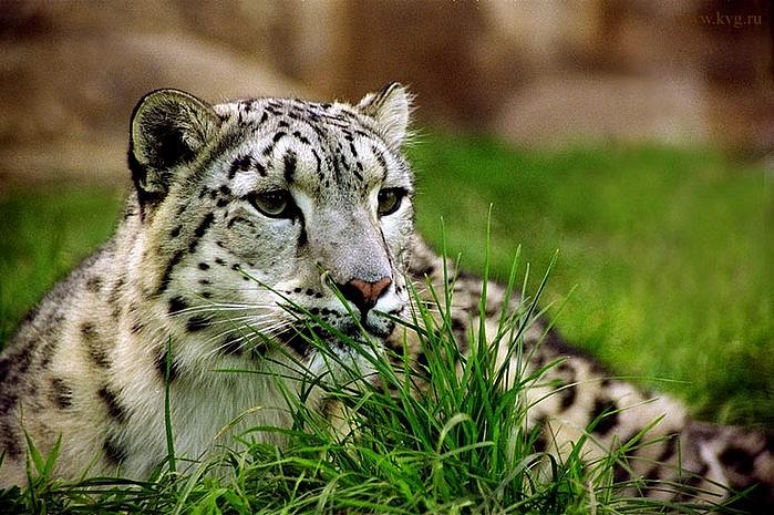 Terri Barton фотография #4