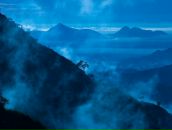 Фотография Шведун Маши