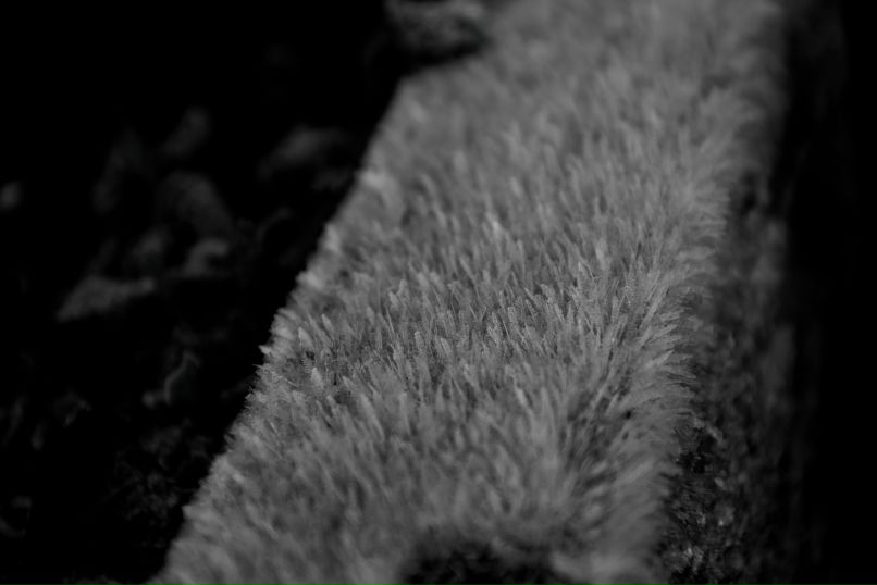 Дмитрий Клочков фотография #26